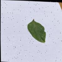 Dataset Image