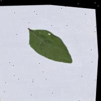 Dataset Image