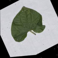 Dataset Image