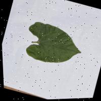 Dataset Image