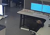 Dataset Image