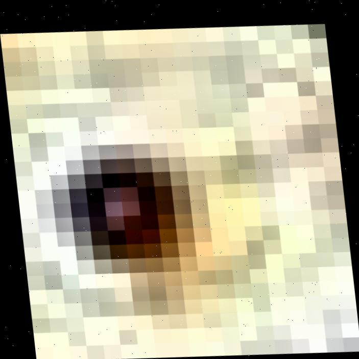 Dataset Image