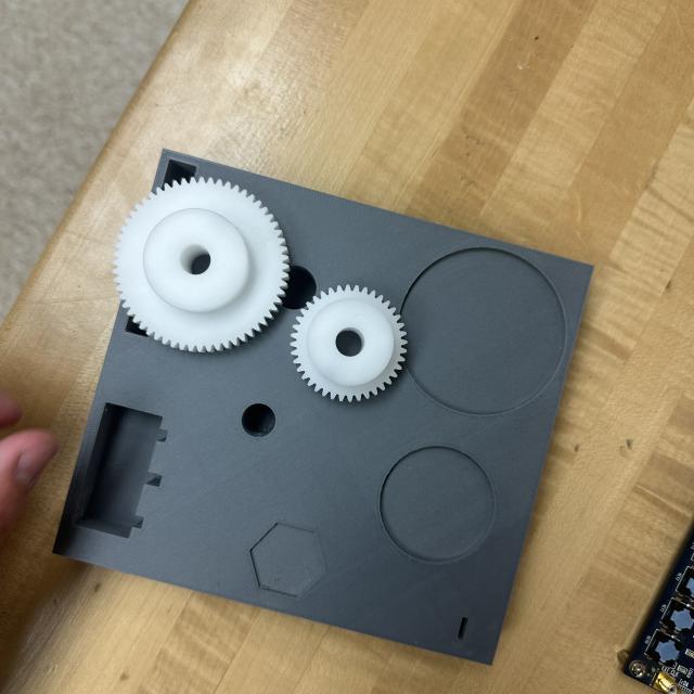 Dataset Image