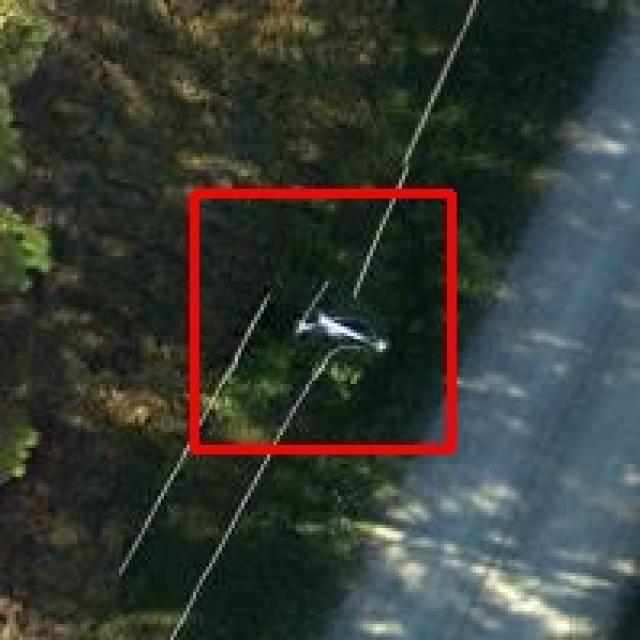 Dataset Image