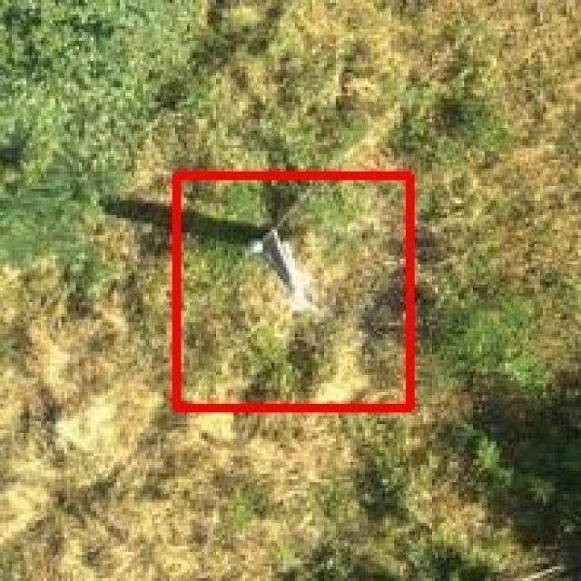 Dataset Image
