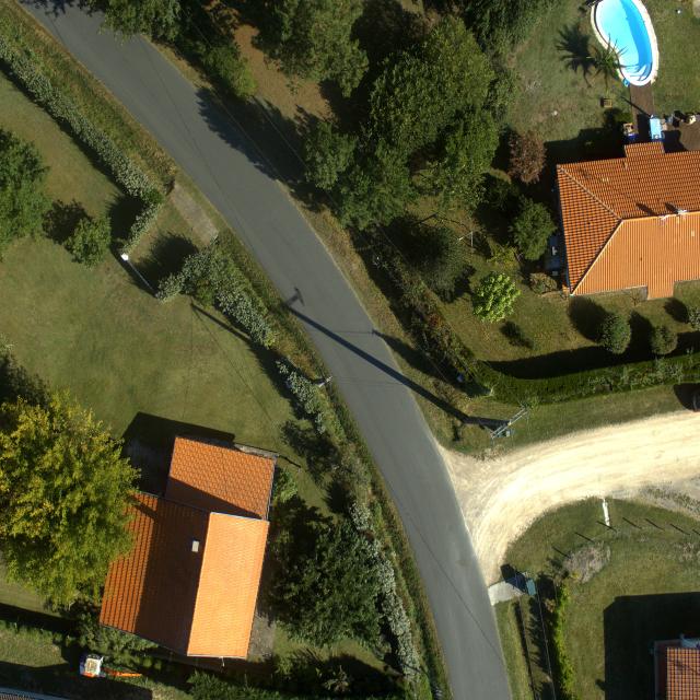 Dataset Image