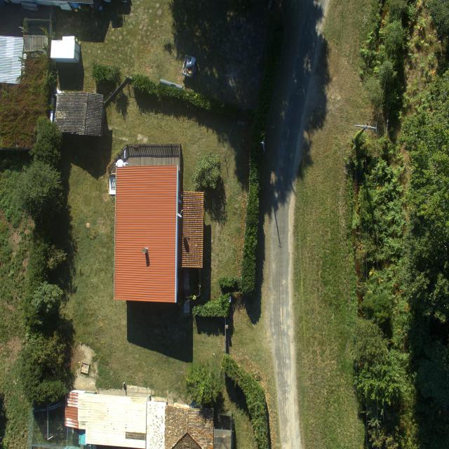 Dataset Image