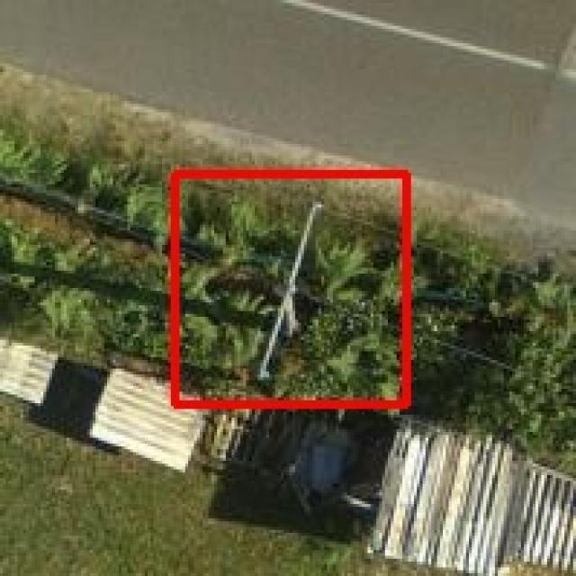 Dataset Image