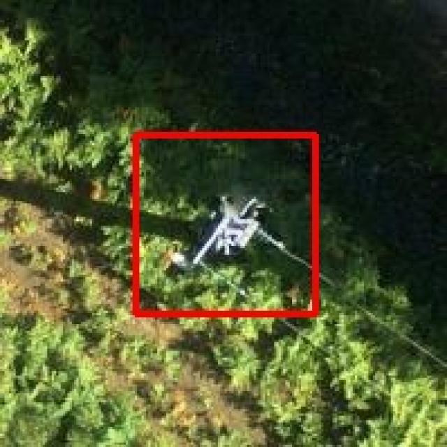 Dataset Image