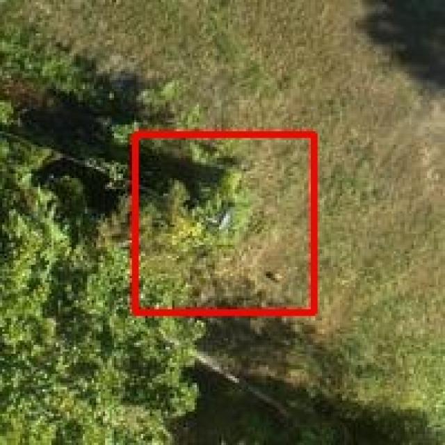 Dataset Image