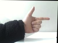 Dataset Image