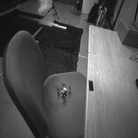 Dataset Image