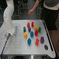 Dataset Image