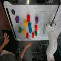 Dataset Image