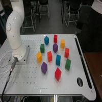 Dataset Image
