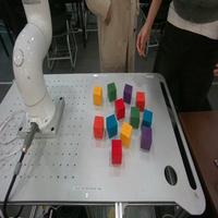 Dataset Image
