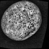 Dataset Image