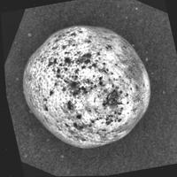 Dataset Image