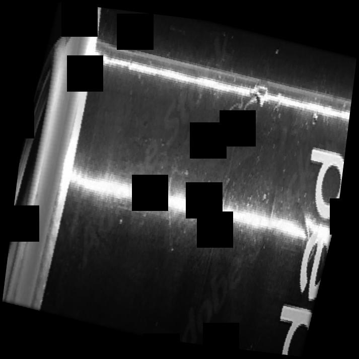 Dataset Image