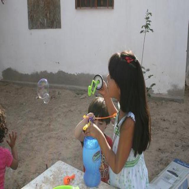 Dataset Image