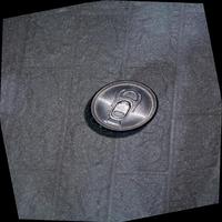 Dataset Image