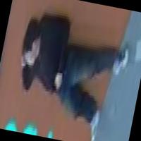Dataset Image