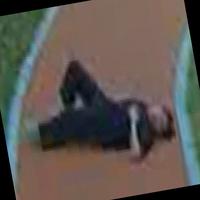 Dataset Image