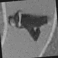 Dataset Image