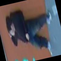 Dataset Image