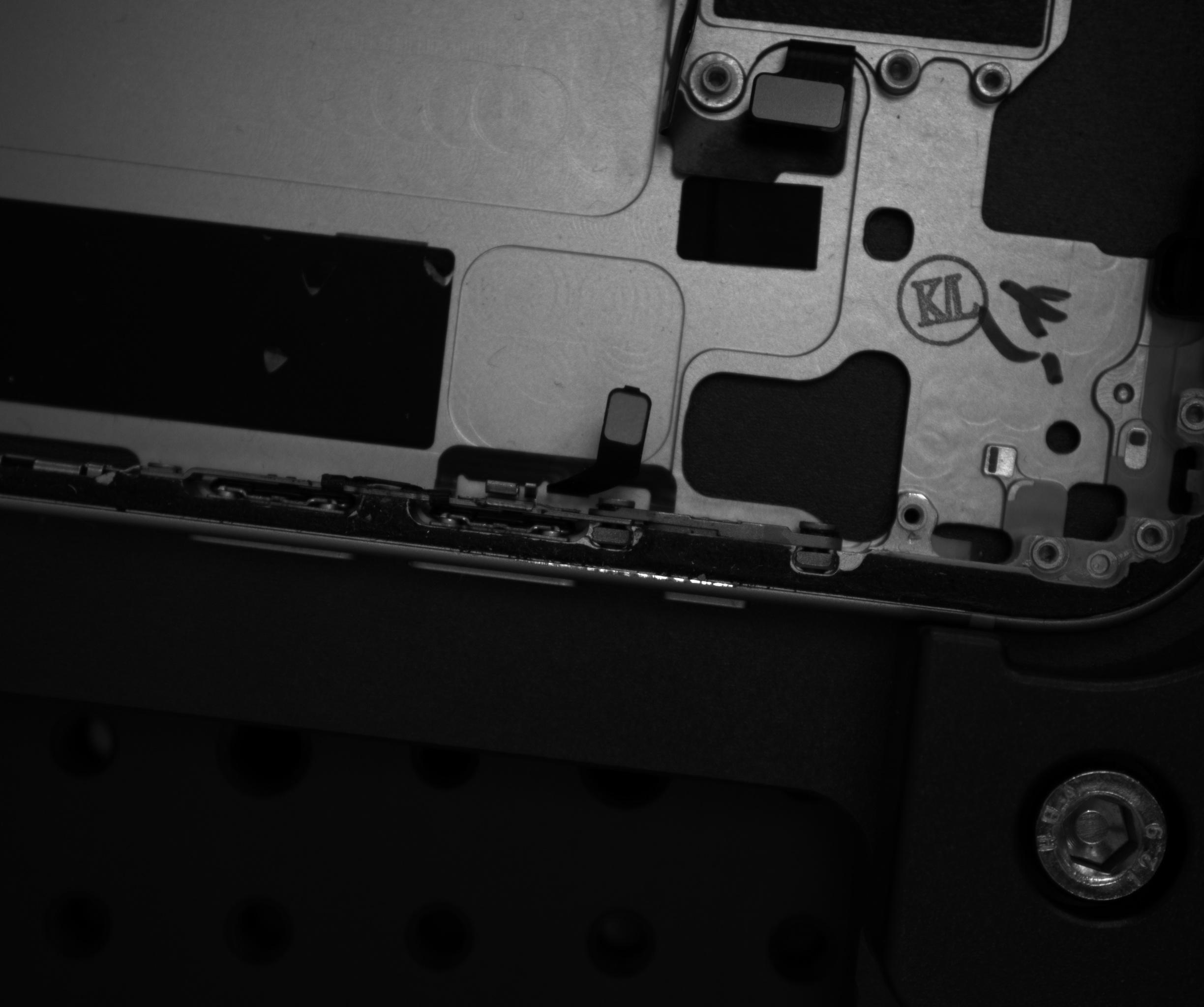Dataset Image