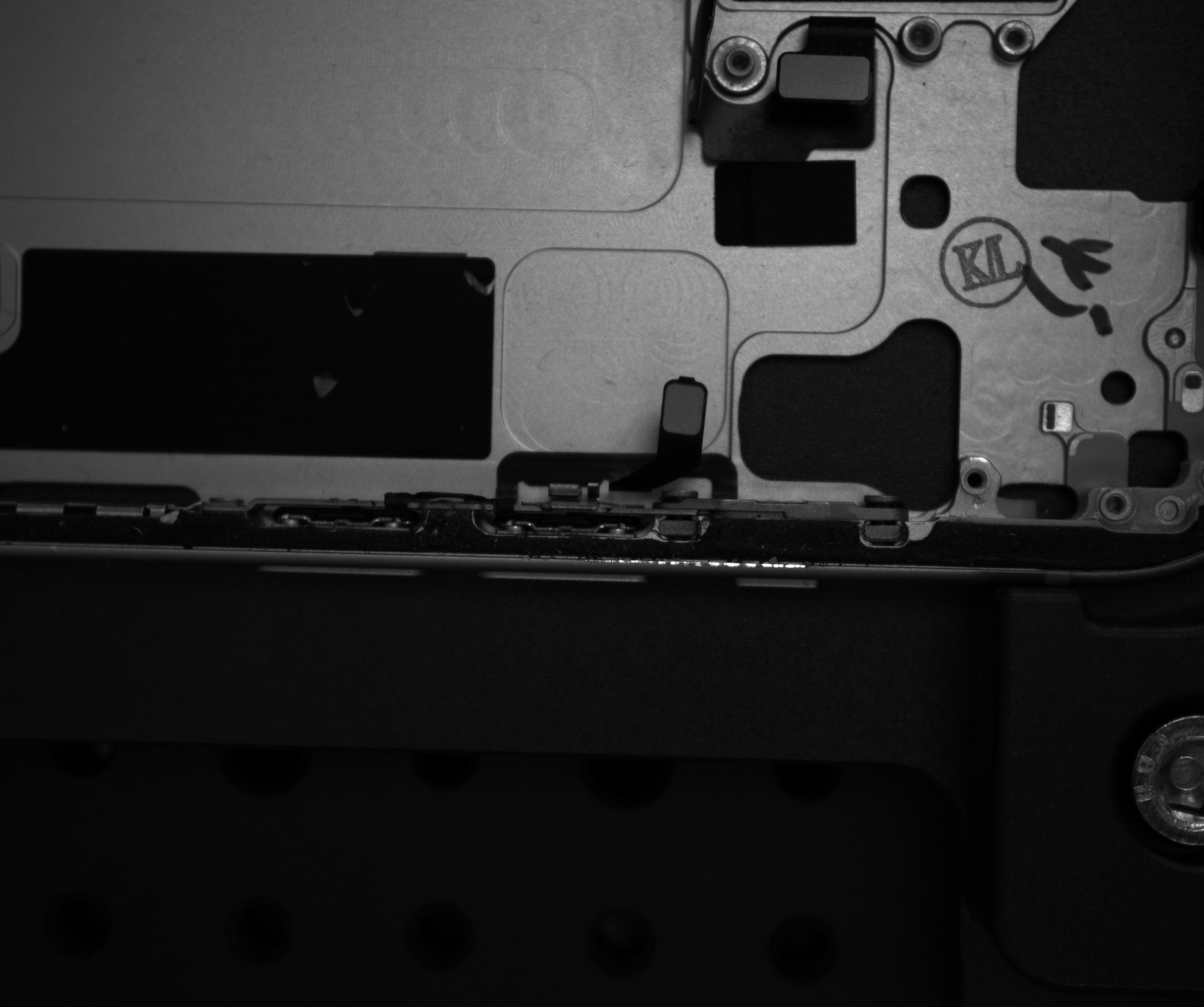 Dataset Image