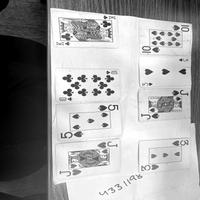 Dataset Image