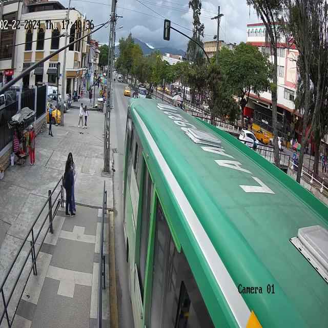 Dataset Image
