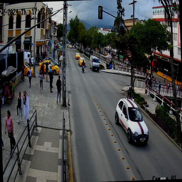 Dataset Image