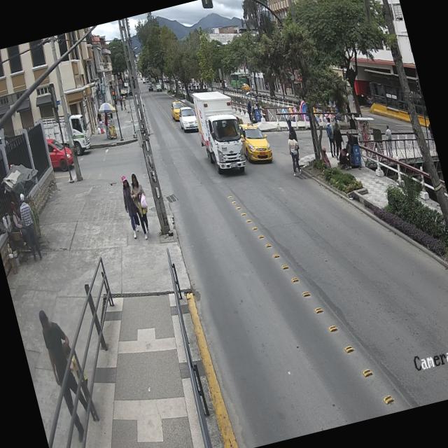 Dataset Image