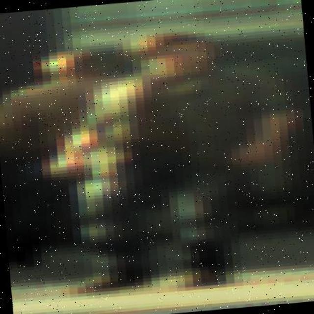 Dataset Image