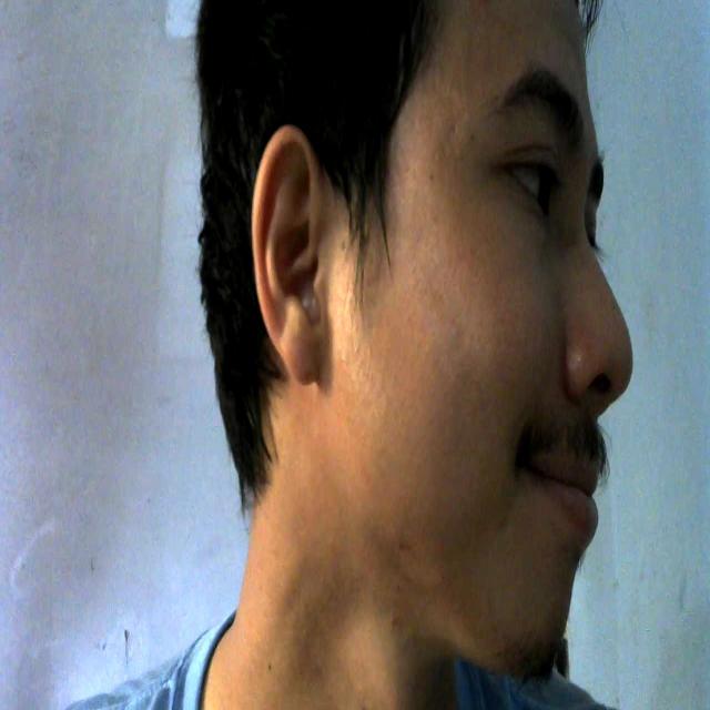 Dataset Image