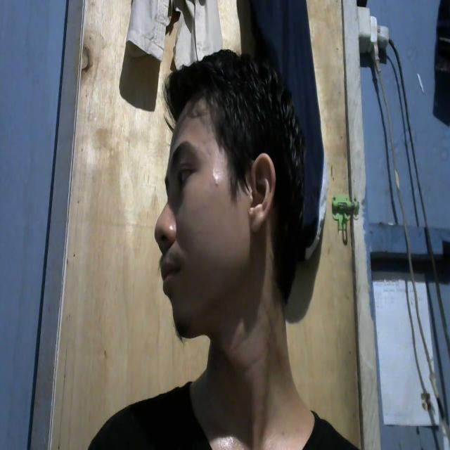 Dataset Image