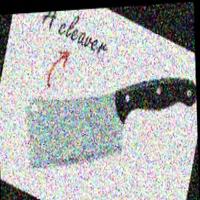 Dataset Image