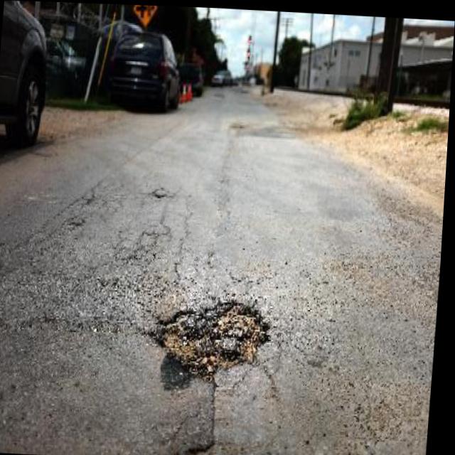 Dataset Image