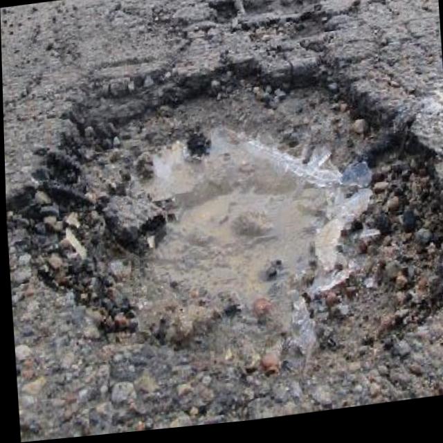 Dataset Image
