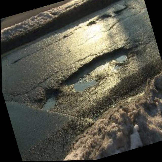 Dataset Image