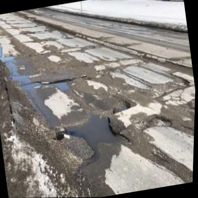 Dataset Image
