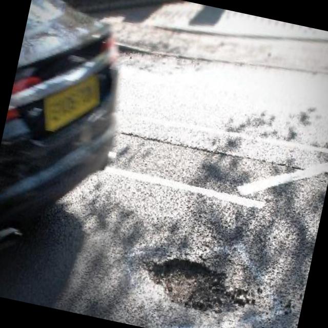 Dataset Image