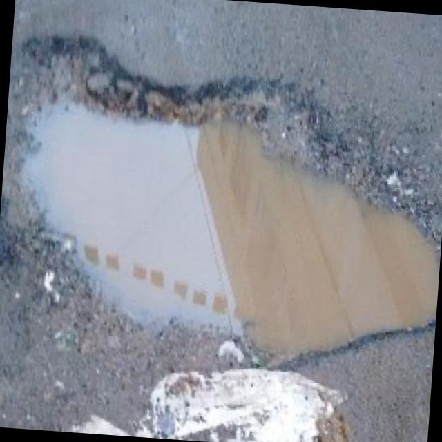 Dataset Image
