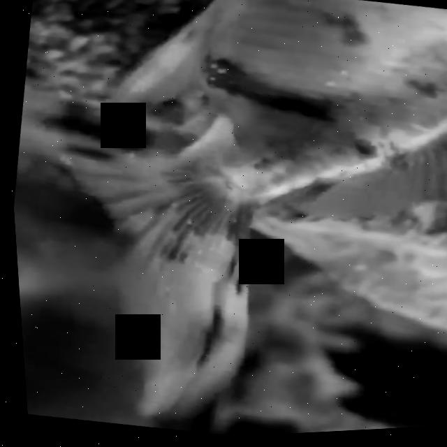 Dataset Image