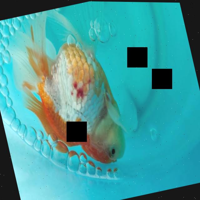 Dataset Image