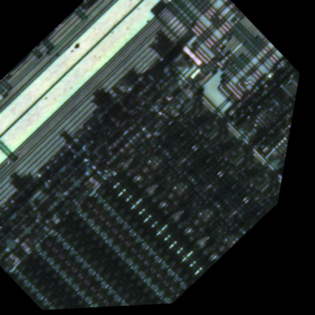 Dataset Image