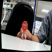 Dataset Image