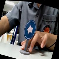 Dataset Image